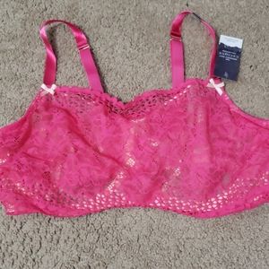 Lane Bryant bralette